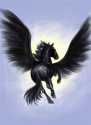 Pegasus (Просмотров: 5725)